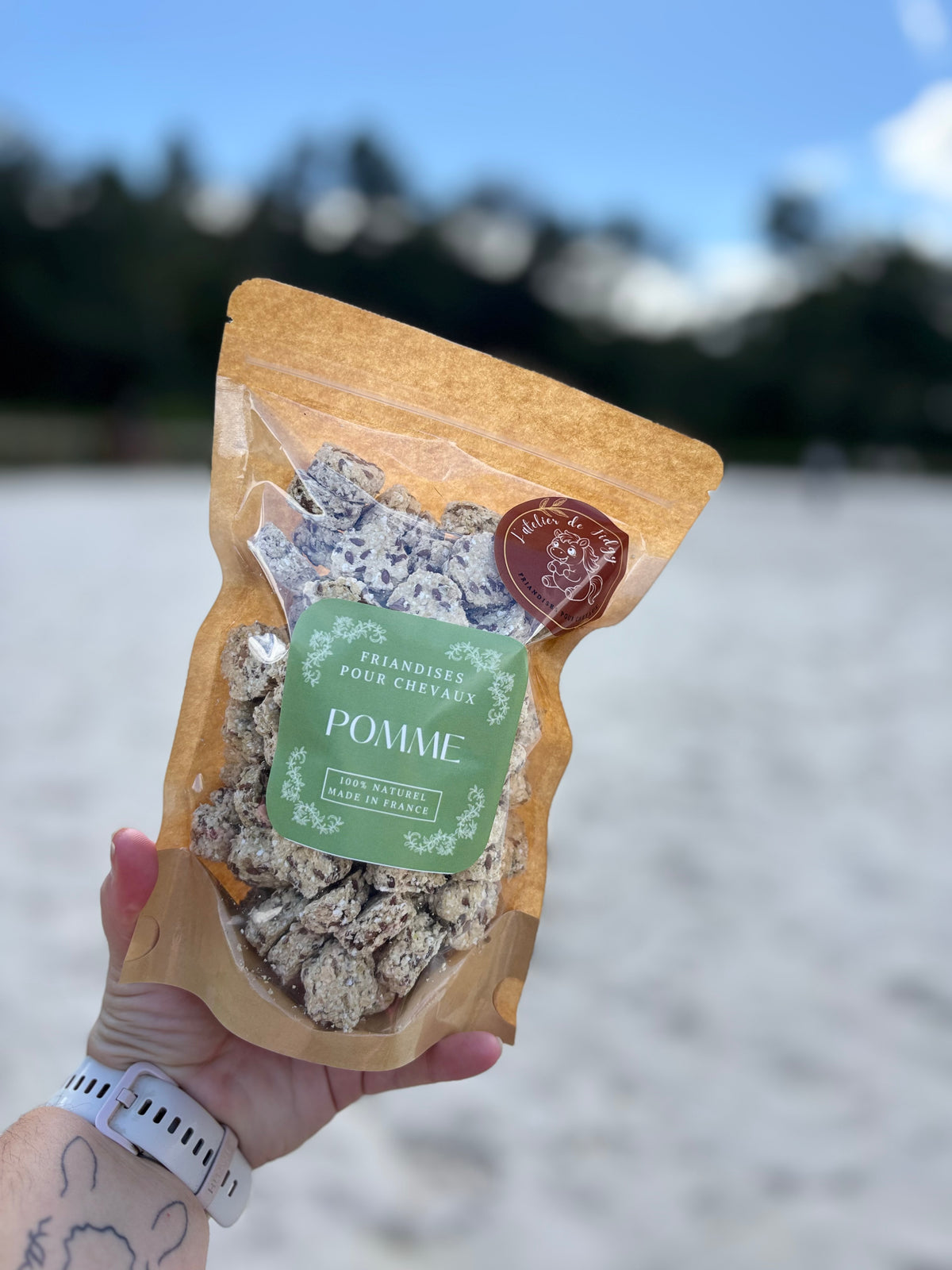 Friandises POMME