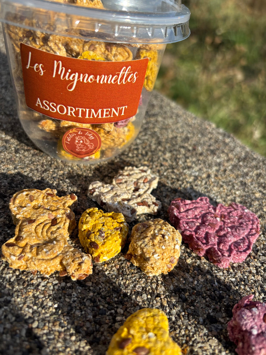 MIGNONNETTES PONEY ADDICT
